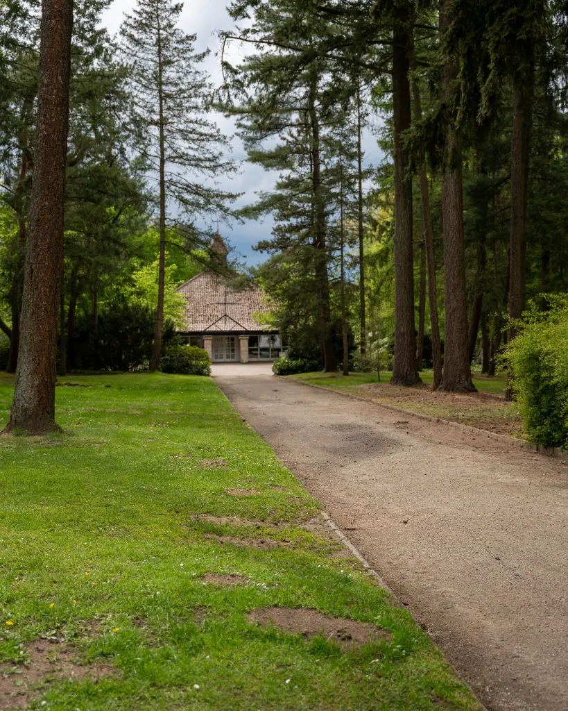 Weg unter Bäumen auf dem Waldfriedhof Dülmen