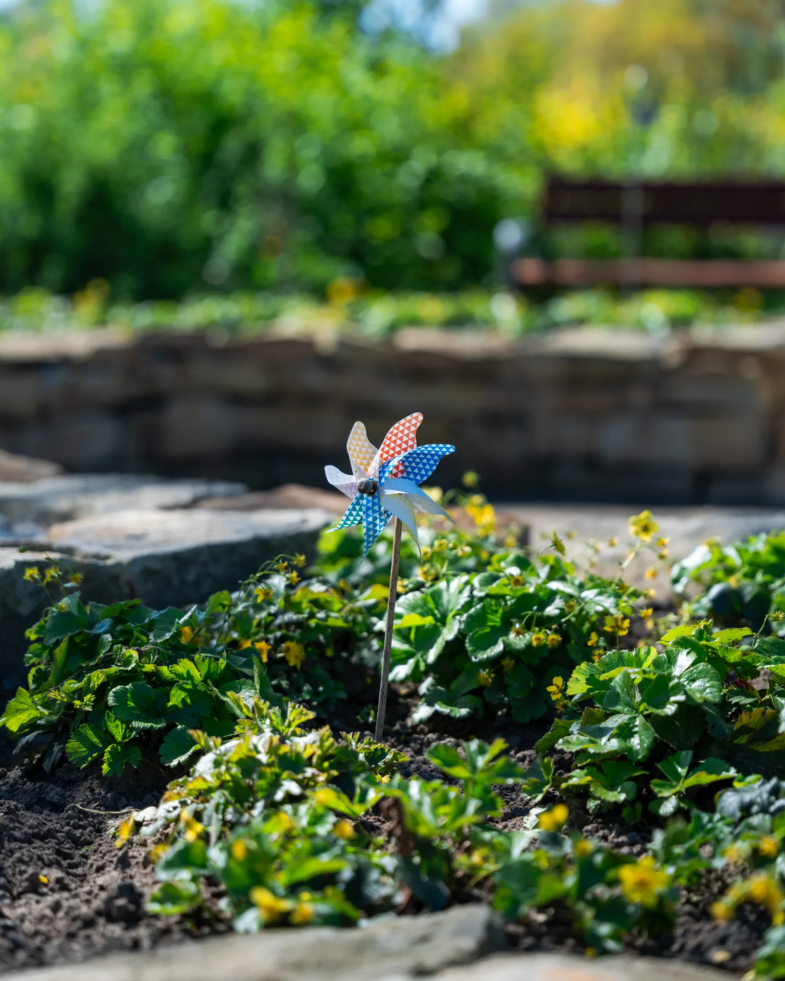 Windrad in einem Beet auf dem Sternenkinderfeld in Seppenrade