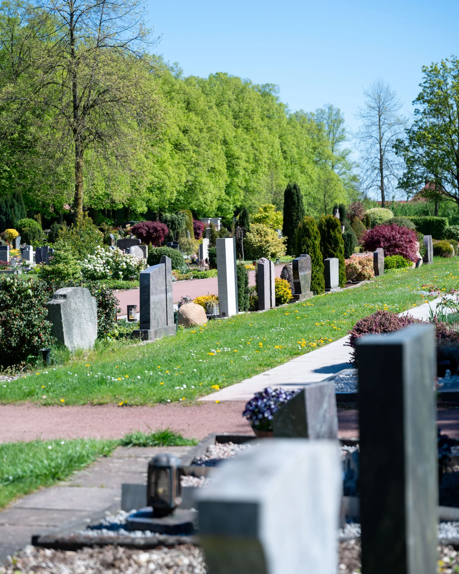 Gräberreihen mit Hecken auf dem Friedhof Seppenrade