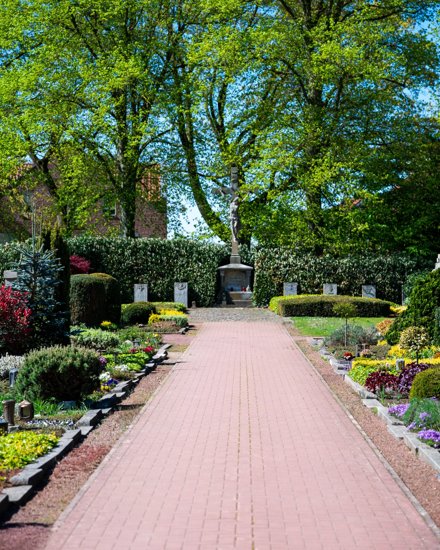 Zentrale Allee auf dem Friedhof Seppenrade