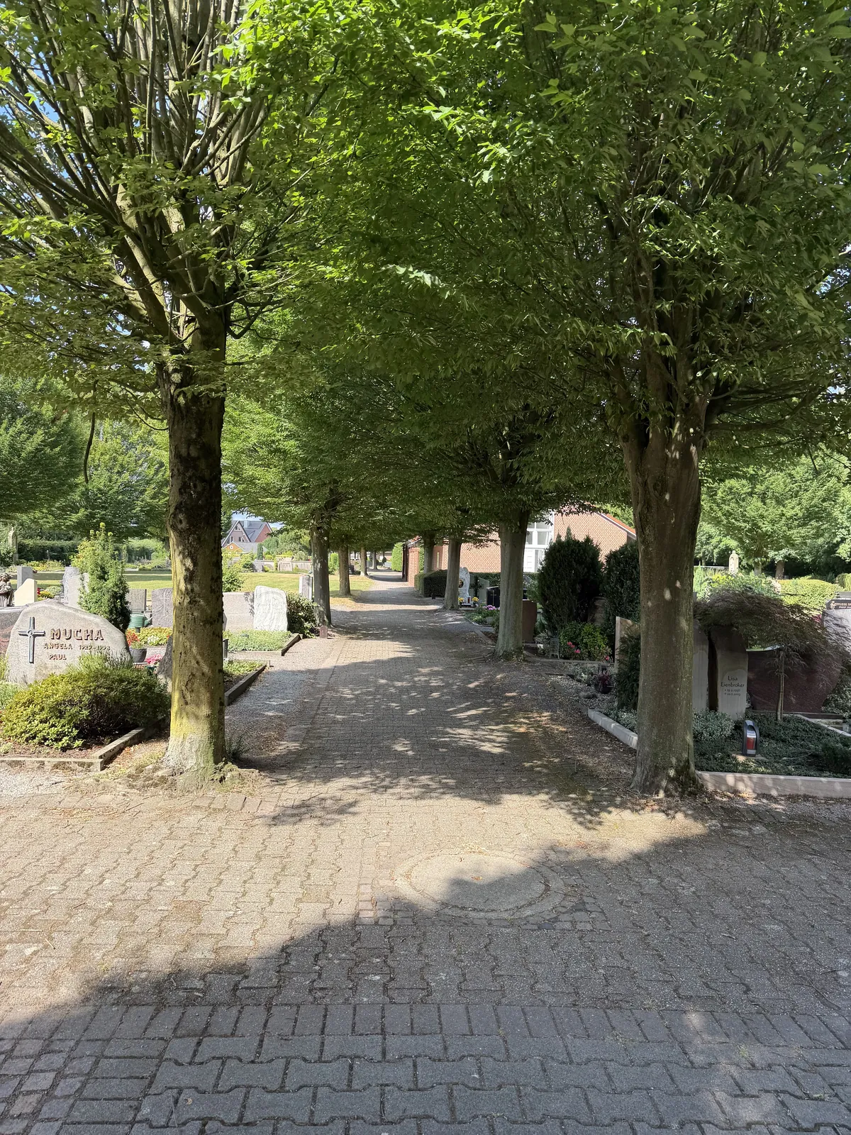 Baumallee auf dem Friedhof Buldern