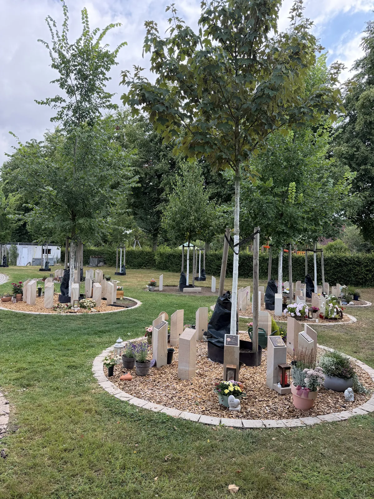 Kreisrunde Baumgrabstätte in Buldern