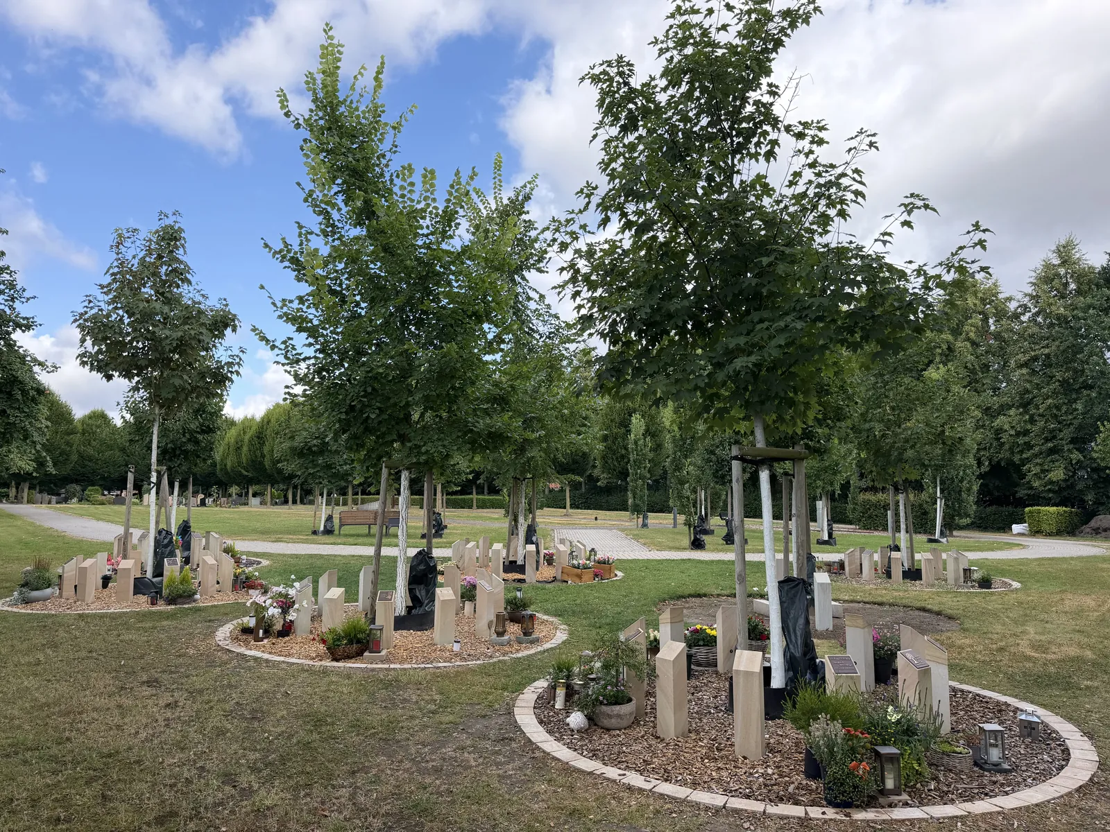 Baumgrabfelder auf dem Friedhof Buldern