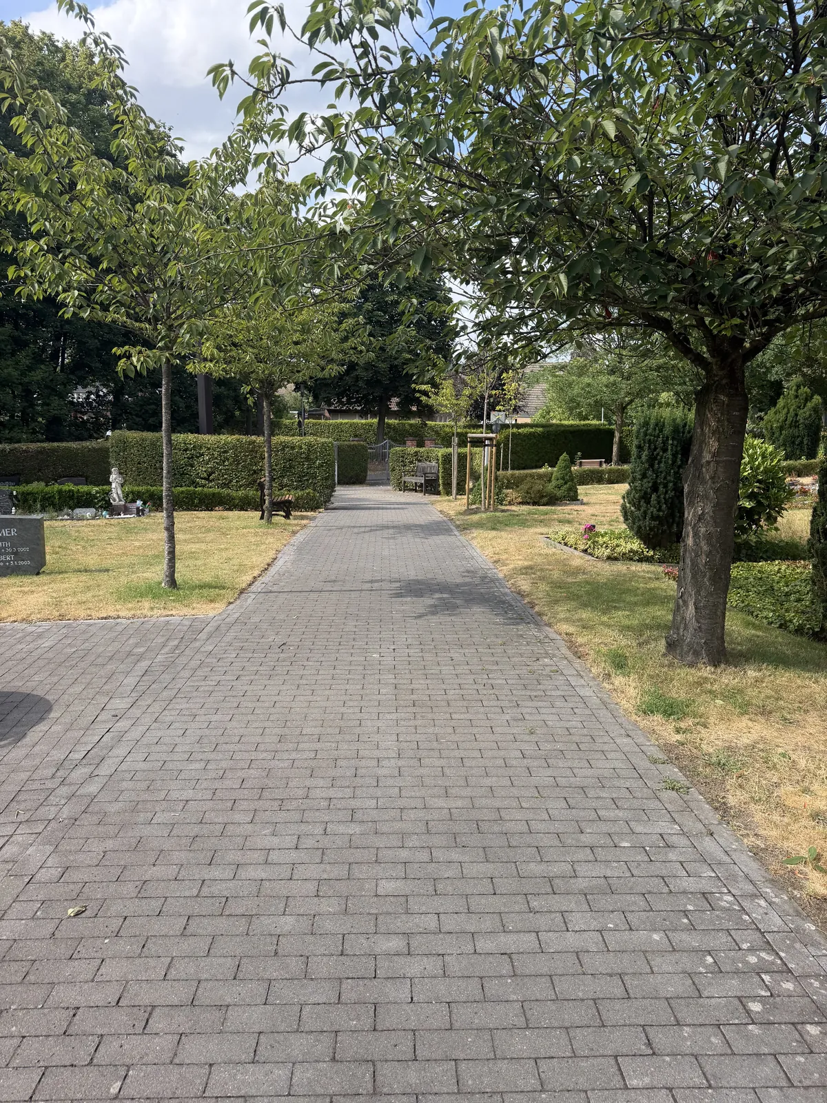 Zentrale Allee auf dem evangelischen Friedhof Dülmen