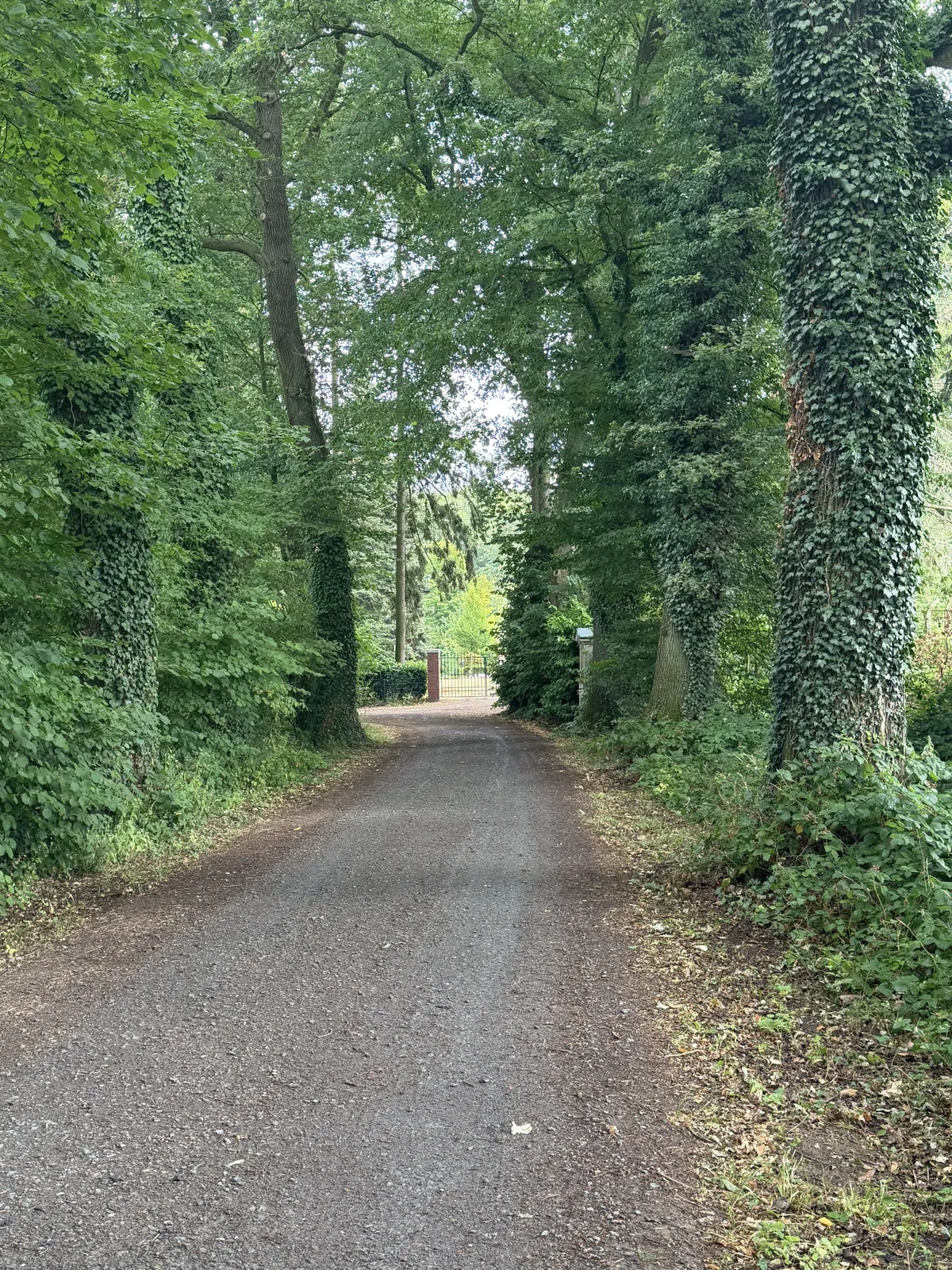 Steinkreuz auf dem Friedhof Karthaus