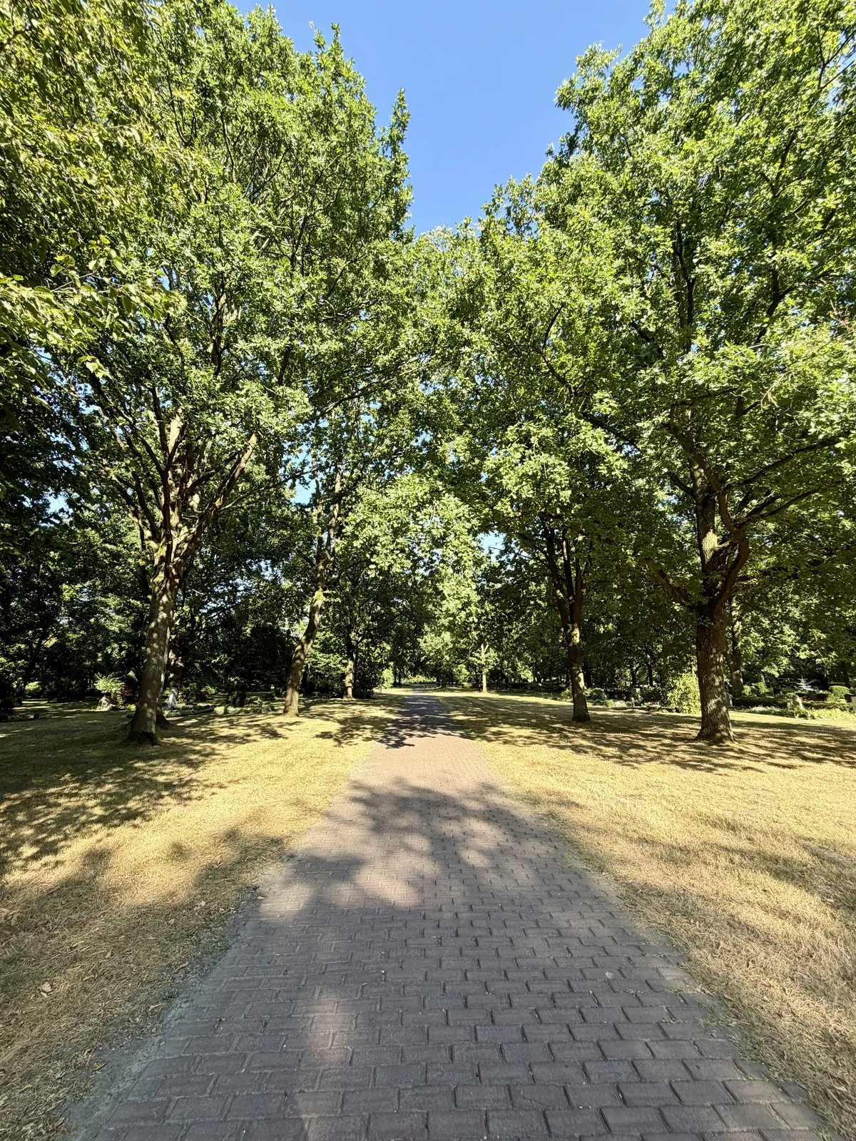 Zentrale Allee auf dem Friedhof Lüdinghausen
