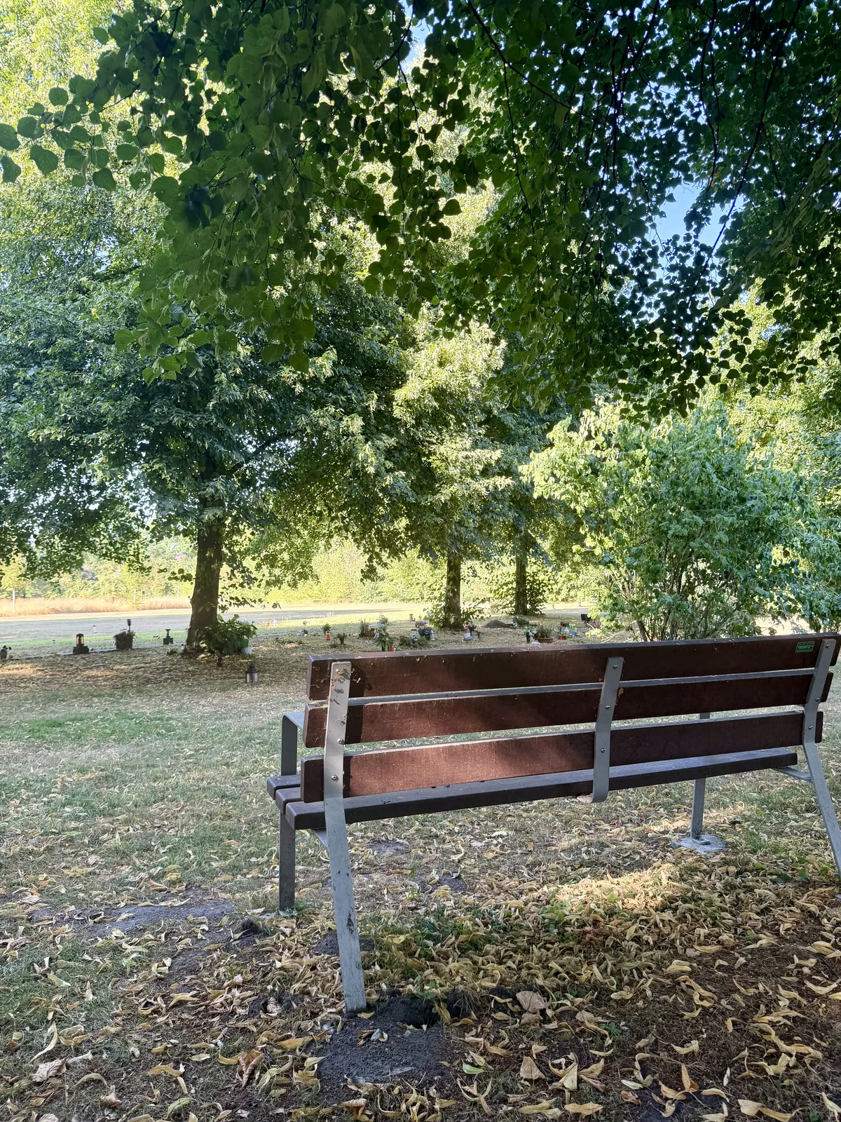 Bank unter Bäumen auf dem Friedhof Lüdinghausen