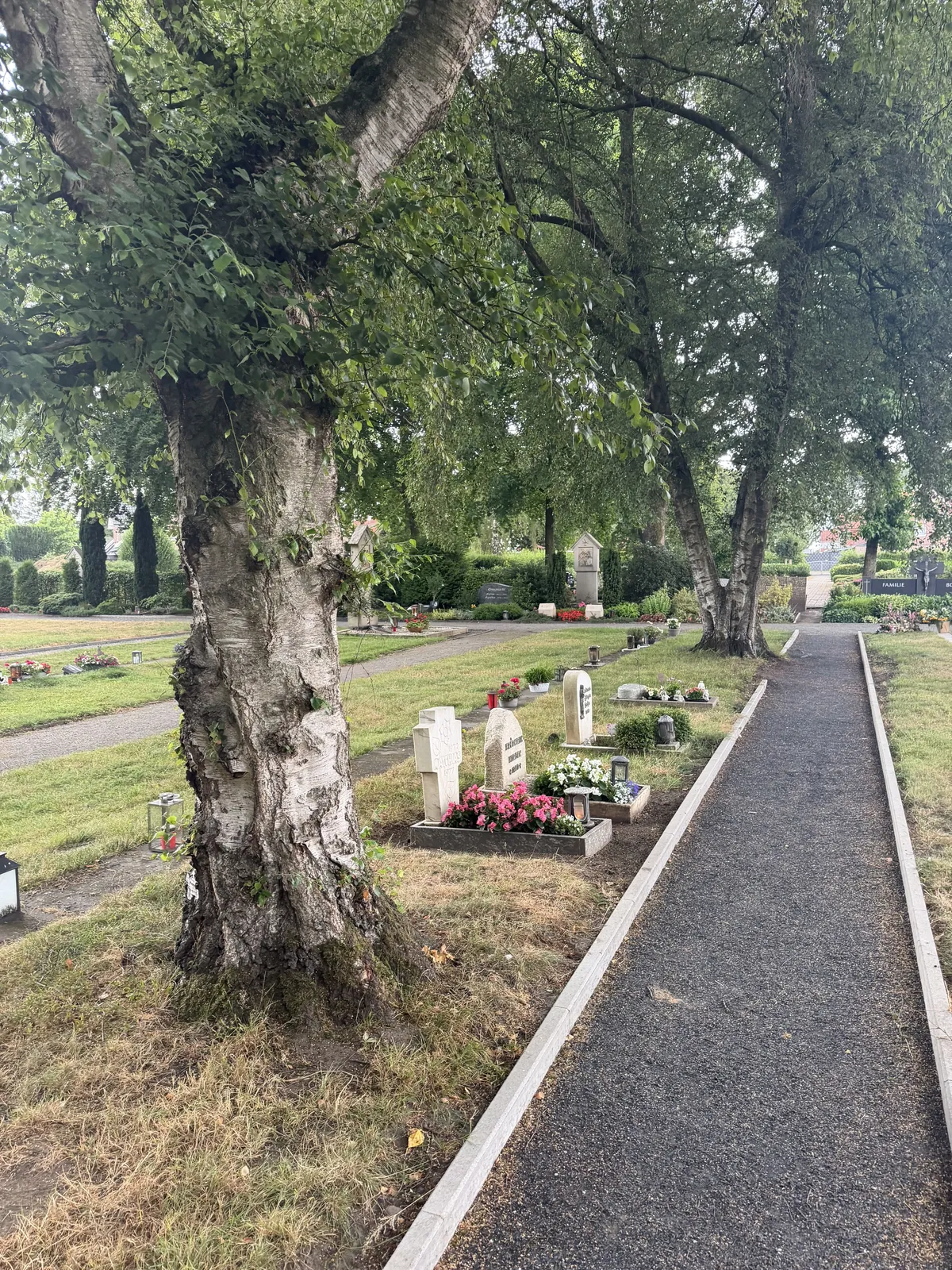 Grabweg auf dem Friedhof Merfeld