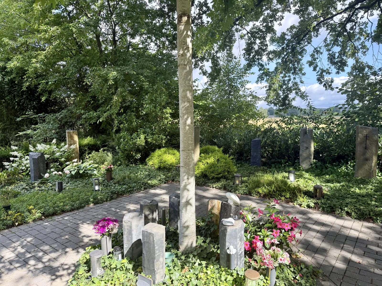 Baumgrab auf dem Friedhof Olfen