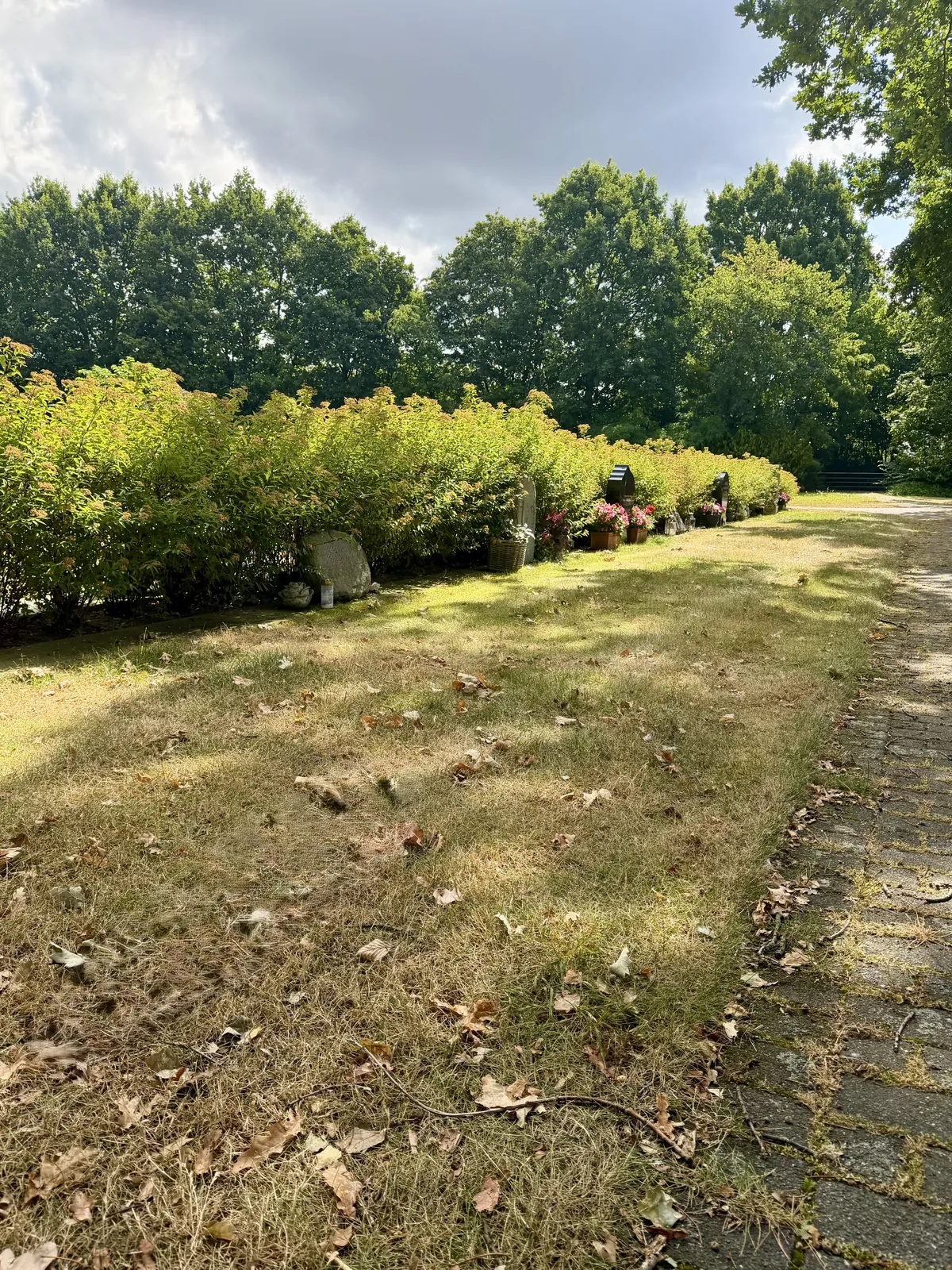 Parkähnliche Wege auf dem Friedhof Olfen