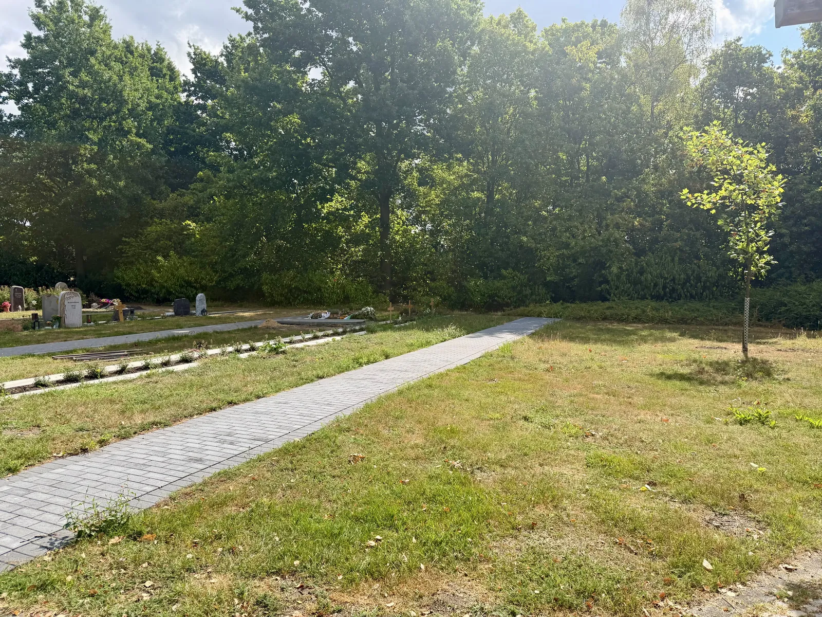 Pflegefreie Rasengräber auf dem Friedhof Olfen