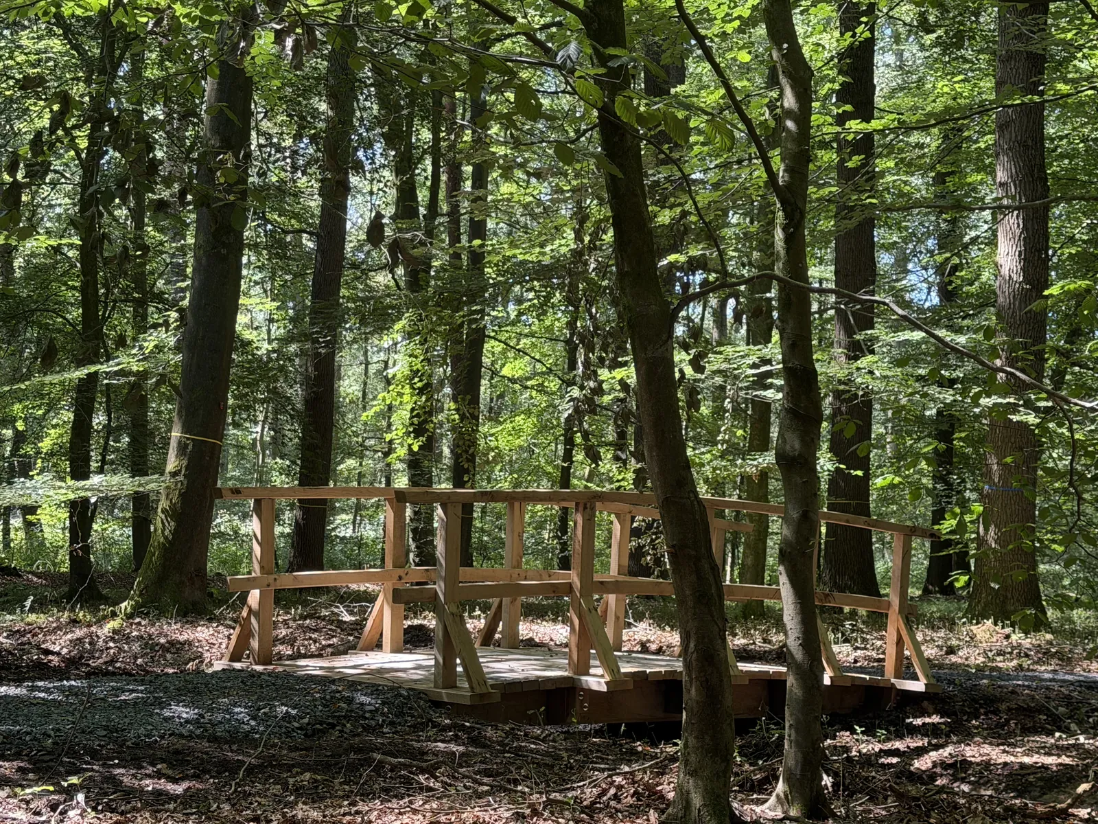 Kreis aus Holzbänken im Ruheforst Coesfeld