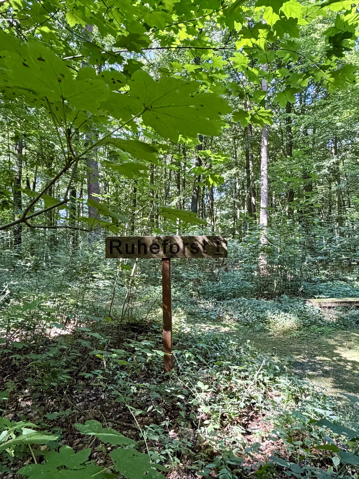 Wegweiser im Ruheforst Coesfeld