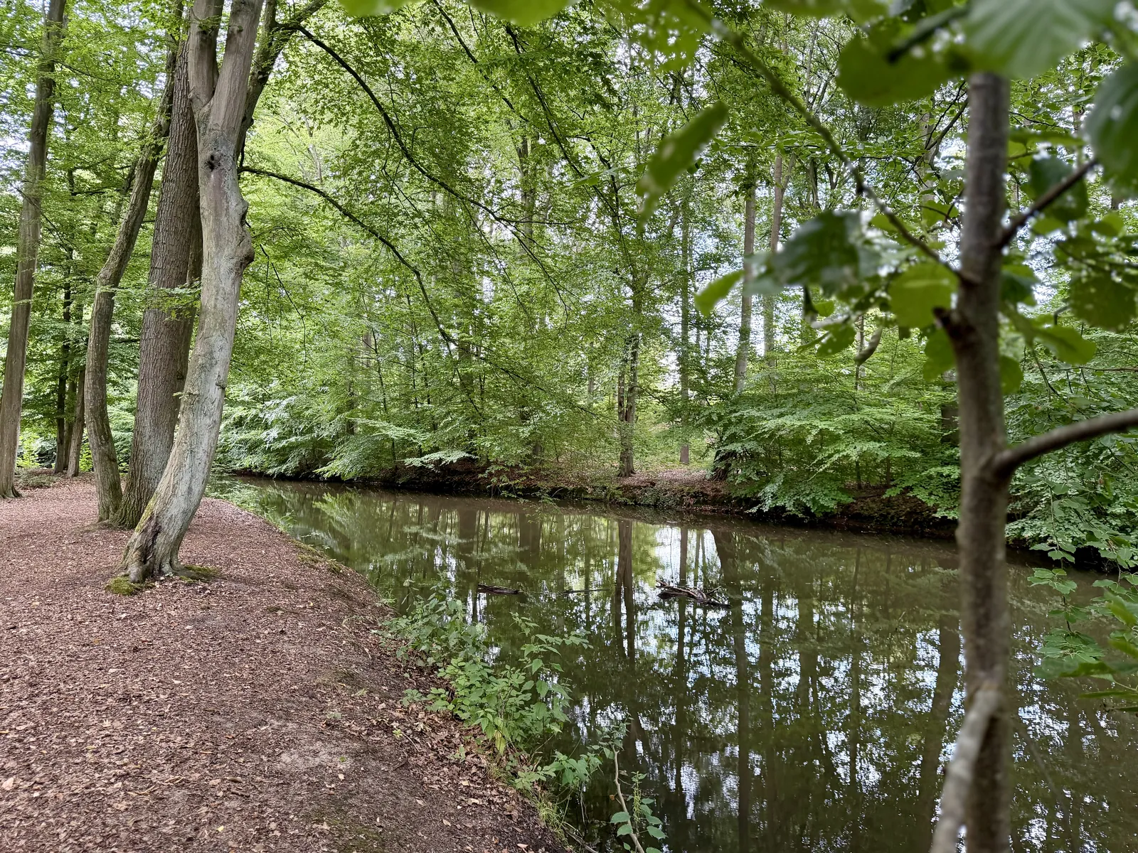 Mühlenbach in der Ruhestätte Natur Haltern-Sythen