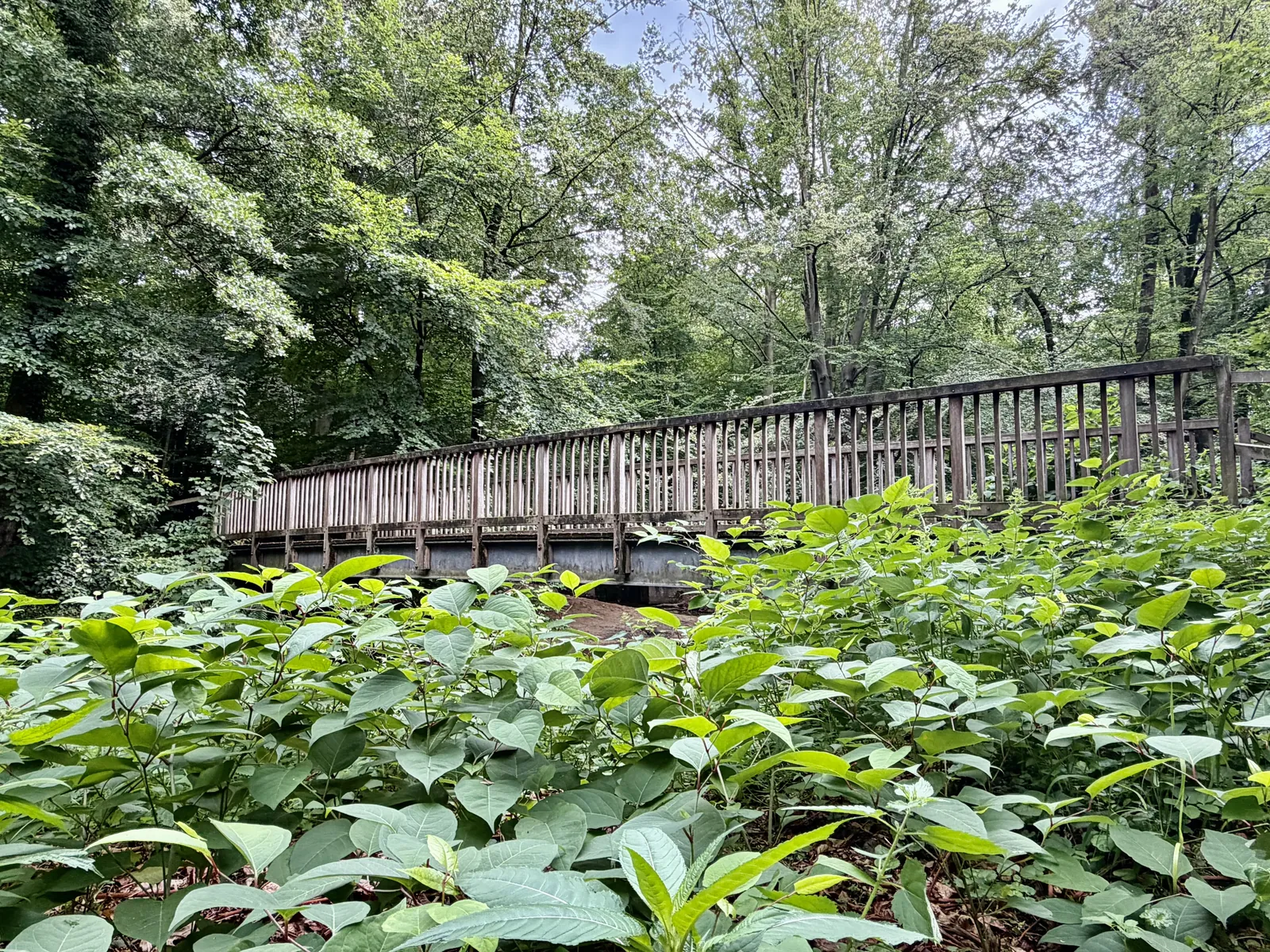 Holzbrücke in der Ruhestätte Natur Haltern