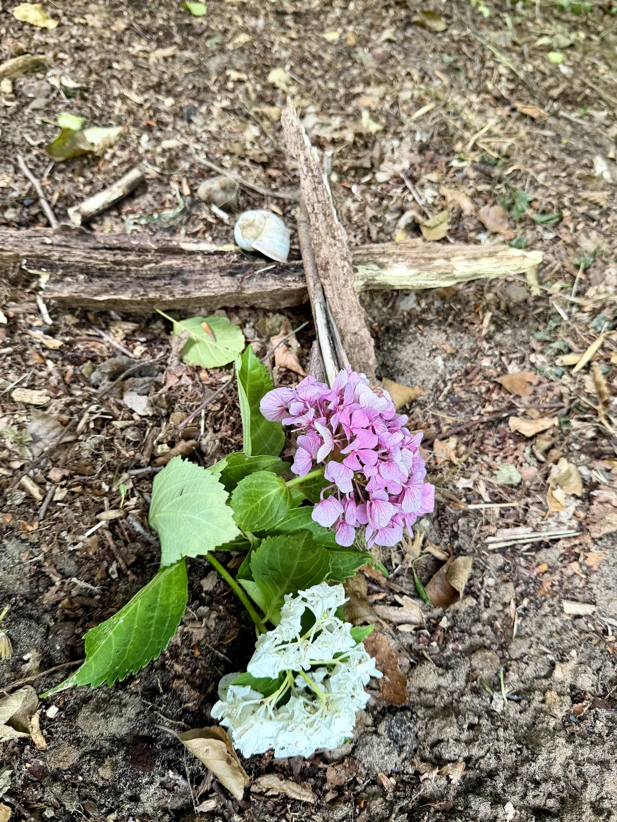 Kleines Holzkreuz mit Blumen in der Ruhestätte Natur