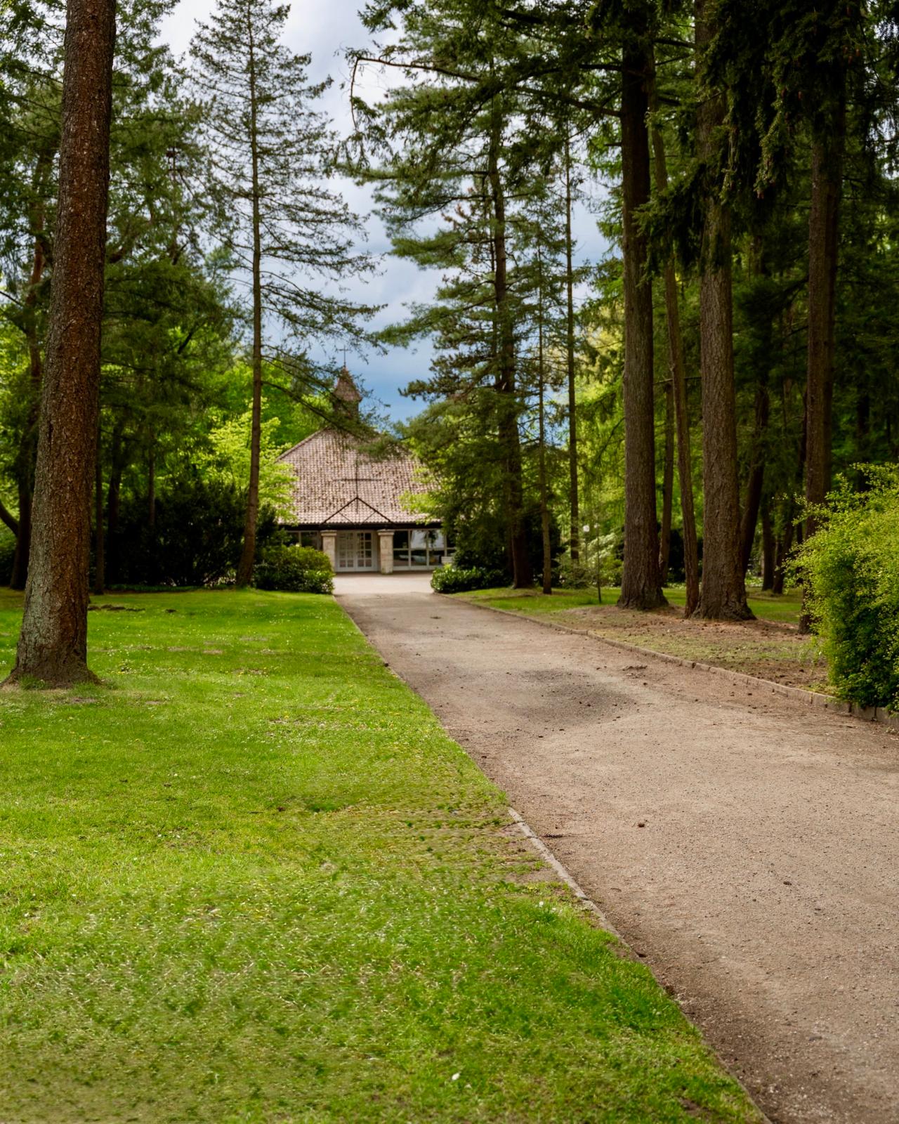 Weg unter hohen Bäumen zur Kapelle auf dem Waldfriedhof Dülmen